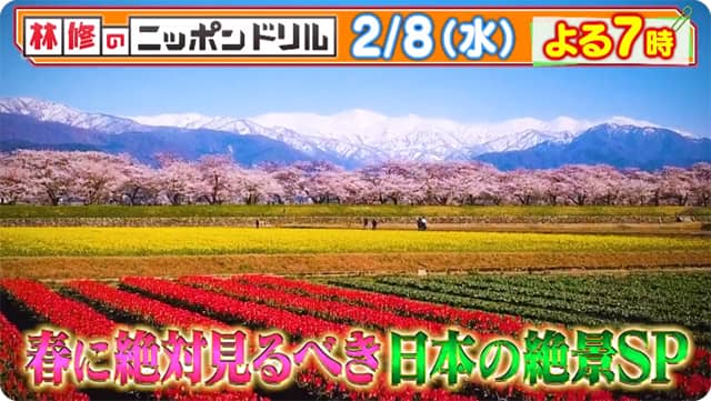 【フジテレビ】学者が選ぶ 春に絶対見るべき日本の絶景2023