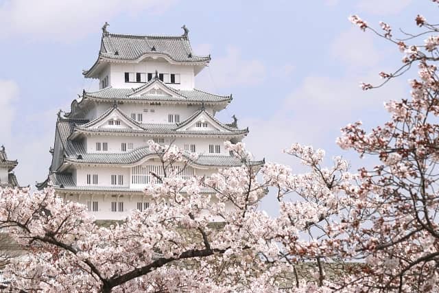 【春の世界遺産の絶景】第8位　桜と白鷺城（姫路城）