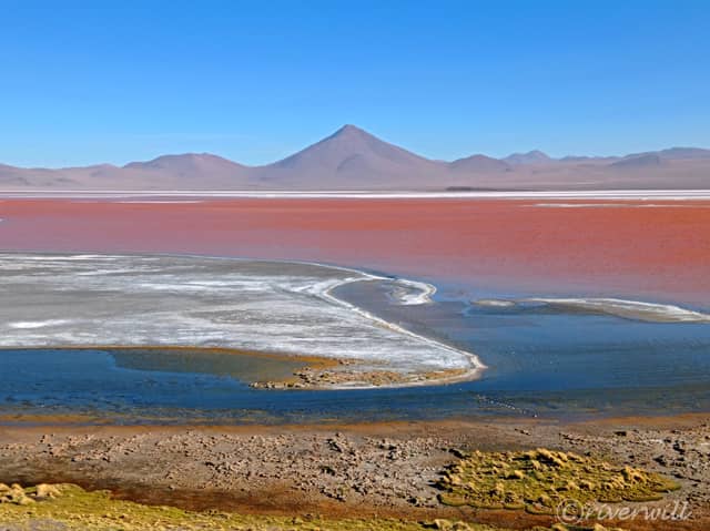 通称レッド・レイクの「ラグーナ・コロラダ」laguna Colorada, Bolivia