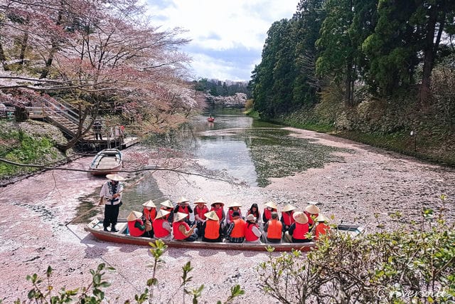 弘前さくらまつり Hirosaki Sakura Festival, Aomori prefecture