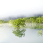 【Twitter】白川湖の水没林と銀山温泉、那須のこいのぼりをめぐった旅（2023/05/11～05/12）