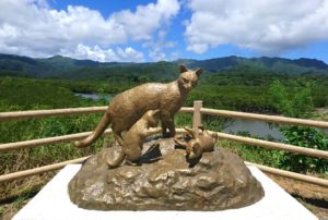 【TABIPPO】個人旅行でのんびりと。世界遺産・西表島を楽しむ、自然と歴史の穴場スポットめぐり