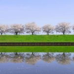【Twitter】群馬と栃木の穴場の桜の名所をめぐる旅（2024/4/13）