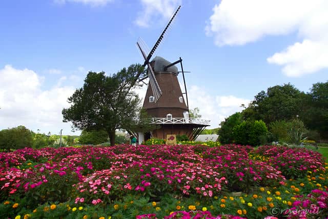 ふなばしアンデルセン公園の風車