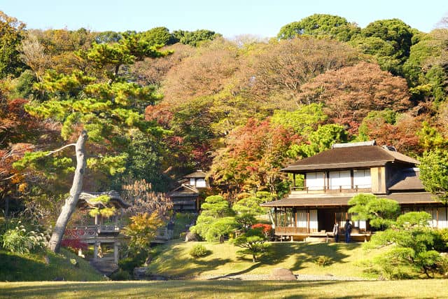 【Asoview】横浜「三溪園」の見どころは?歴史的建造物と四季折々の自然が調和したスポットの魅力を教えます