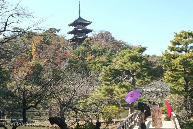 観心橋 in 横浜 三溪園