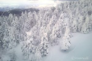 【LIVE JAPAN】【仙台発】絶景・温泉・グルメの宝庫!冬の東北を満喫できるおすすめホテル10選