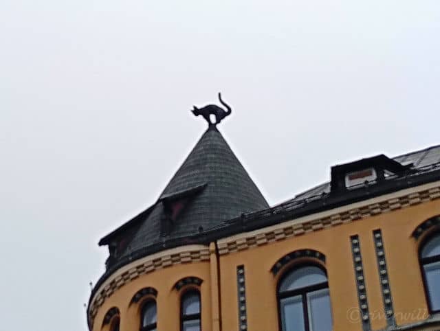 有名な「猫の家」