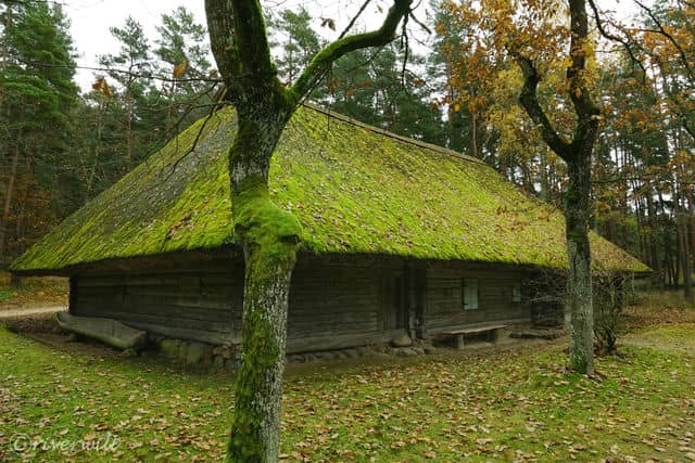 日本の合掌造りに似たラトビア伝統家屋