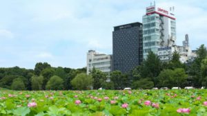 【LIVE JAPAN】上野・谷根千観光に便利なホテル10選｜駅近で快適に過ごせる優良ホテルを厳選