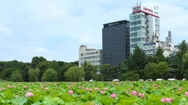 【LIVE JAPAN】上野・谷根千観光に便利なホテル10選｜駅近で快適に過ごせる優良ホテルを厳選
