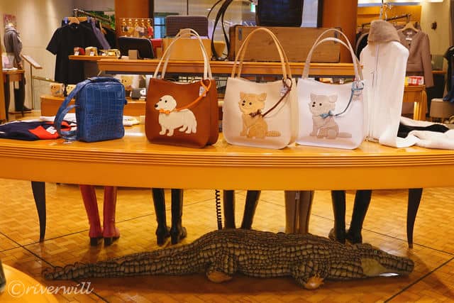 【キタムラ】机の下にワニが潜んでます