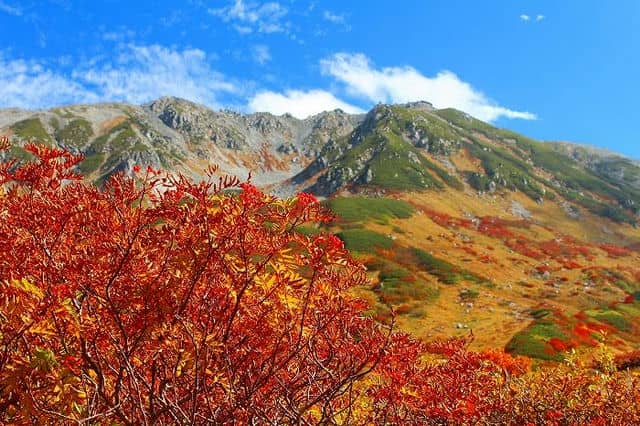 紅葉の立山