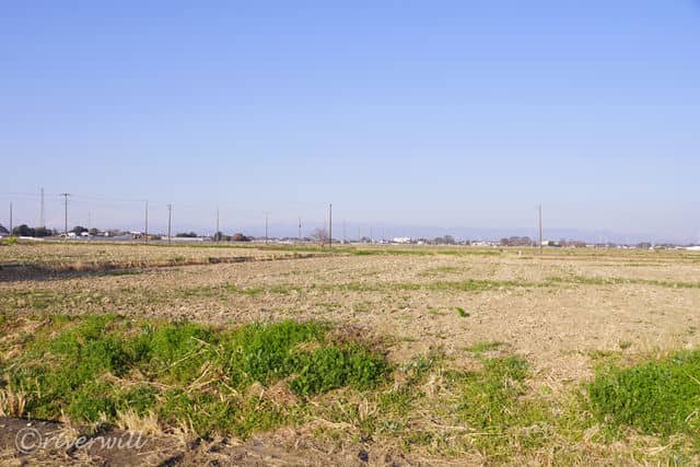 まさに“都会に一番近い農村”の風景（Earthboat Saitama Kawajima)